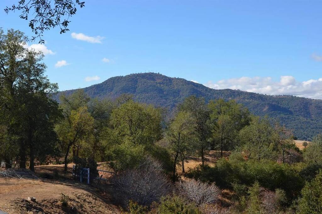 New! Yosemite Mountain Villa, Stunning Views -More 奥克赫斯特 外观 照片